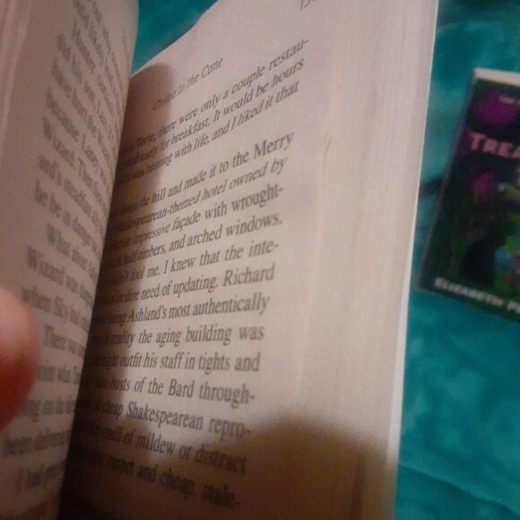 6 Cozy Mystery Book Lot, Amanda Flower, Ellie Alexander, Victoria Thompson, + - Picture 6 of 8